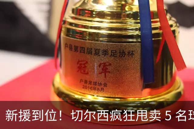 新援到位！切尔西疯狂甩卖 5 名球员，亿元薪资大坑急需填