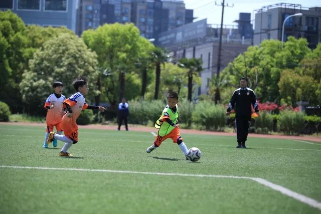 2026世界杯：谁是最大热门，谁又可能翻车？