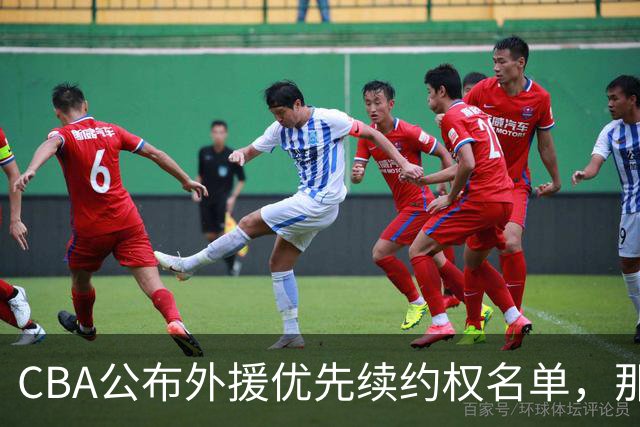 CBA公布外援优先续约权名单，那么除此之外，谁适合被捡漏呢？